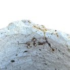 Cantera Stone Planter - Berbere Imports