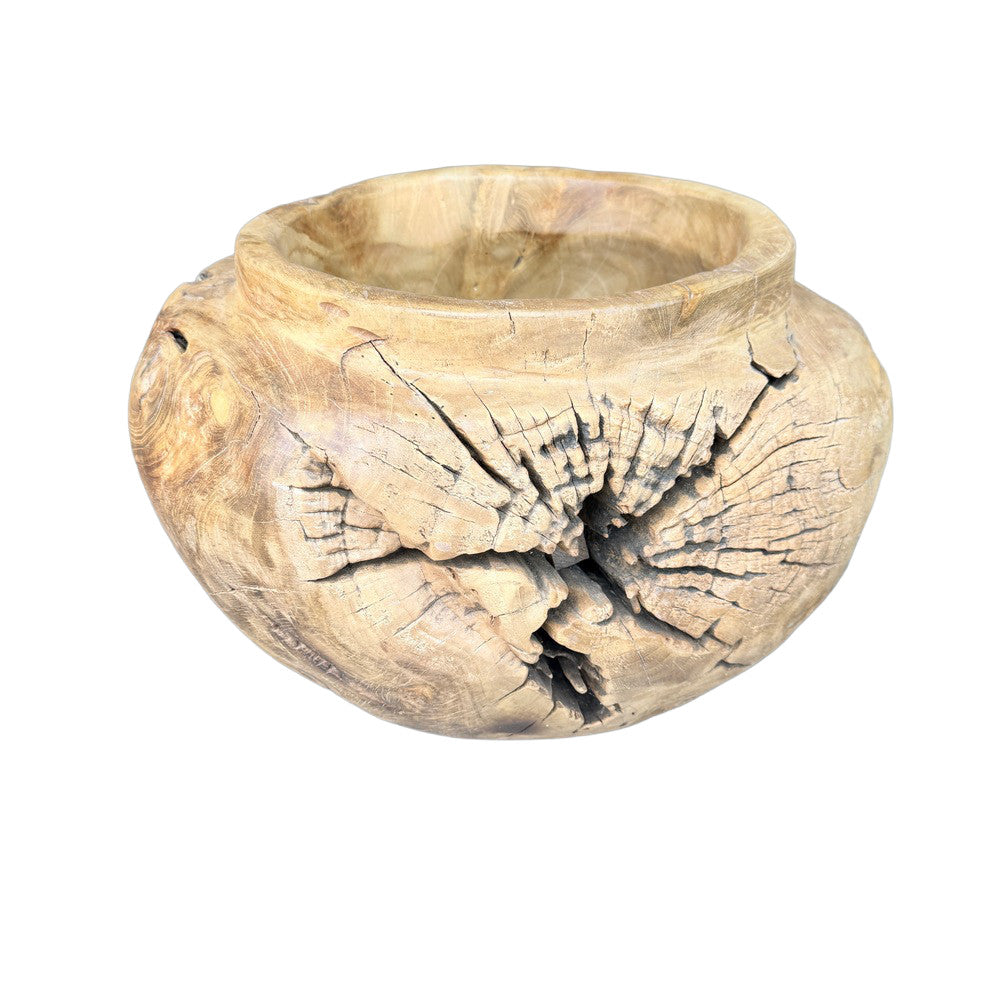 Indonesian Teal Root Planter - Berbere Imports