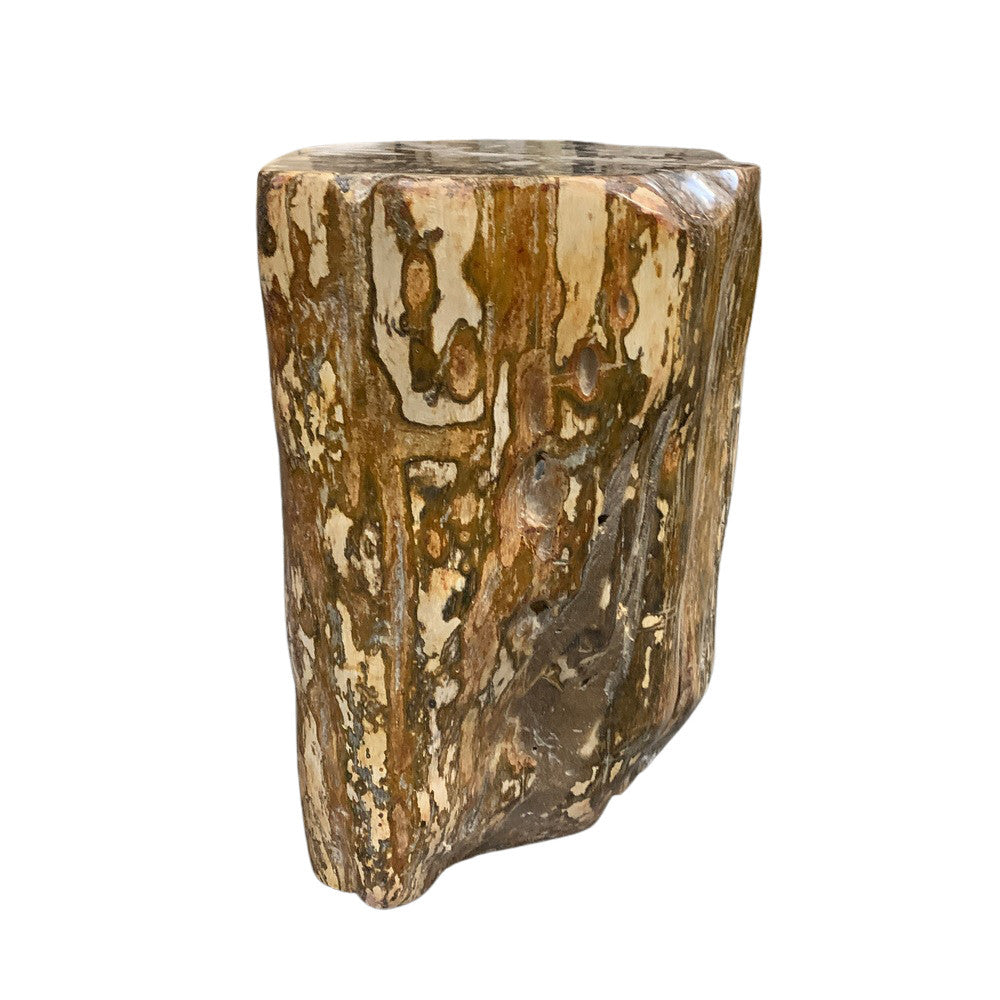 Petrified Wood Stump - Berbere Imports