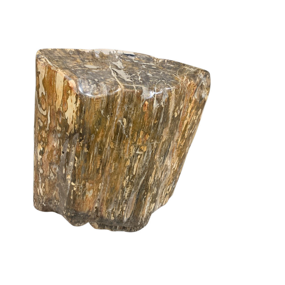 Petrified Wood Stump - Berbere Imports