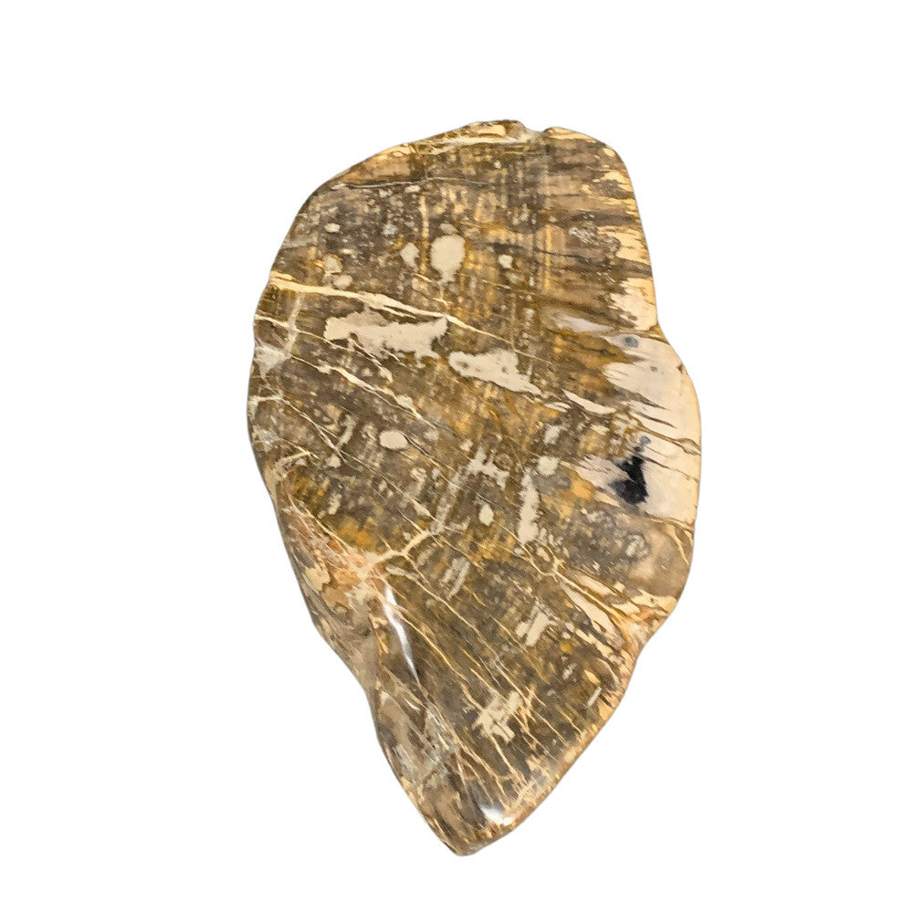 Petrified Wood Stump - Berbere Imports