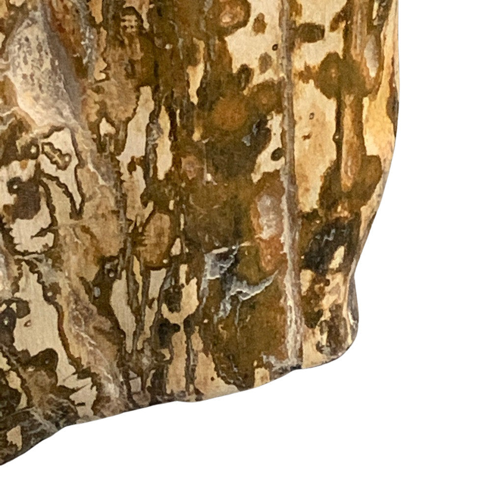 Petrified Wood Stump - Berbere Imports