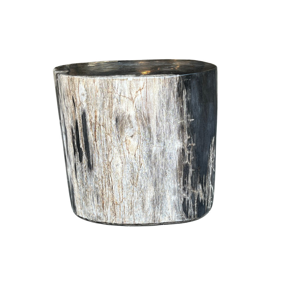 Petrified Wood Side Table - Berbere Imports