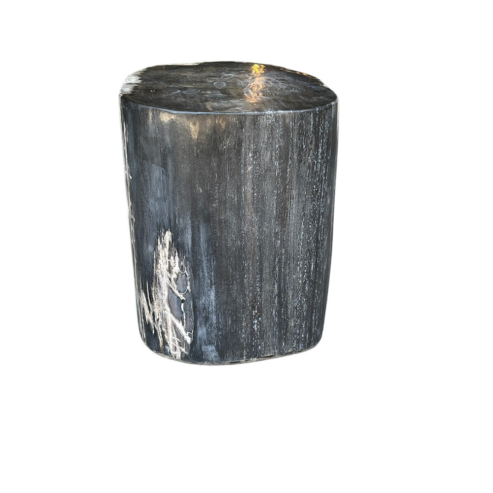 Petrified Wood Side Table - Berbere Imports