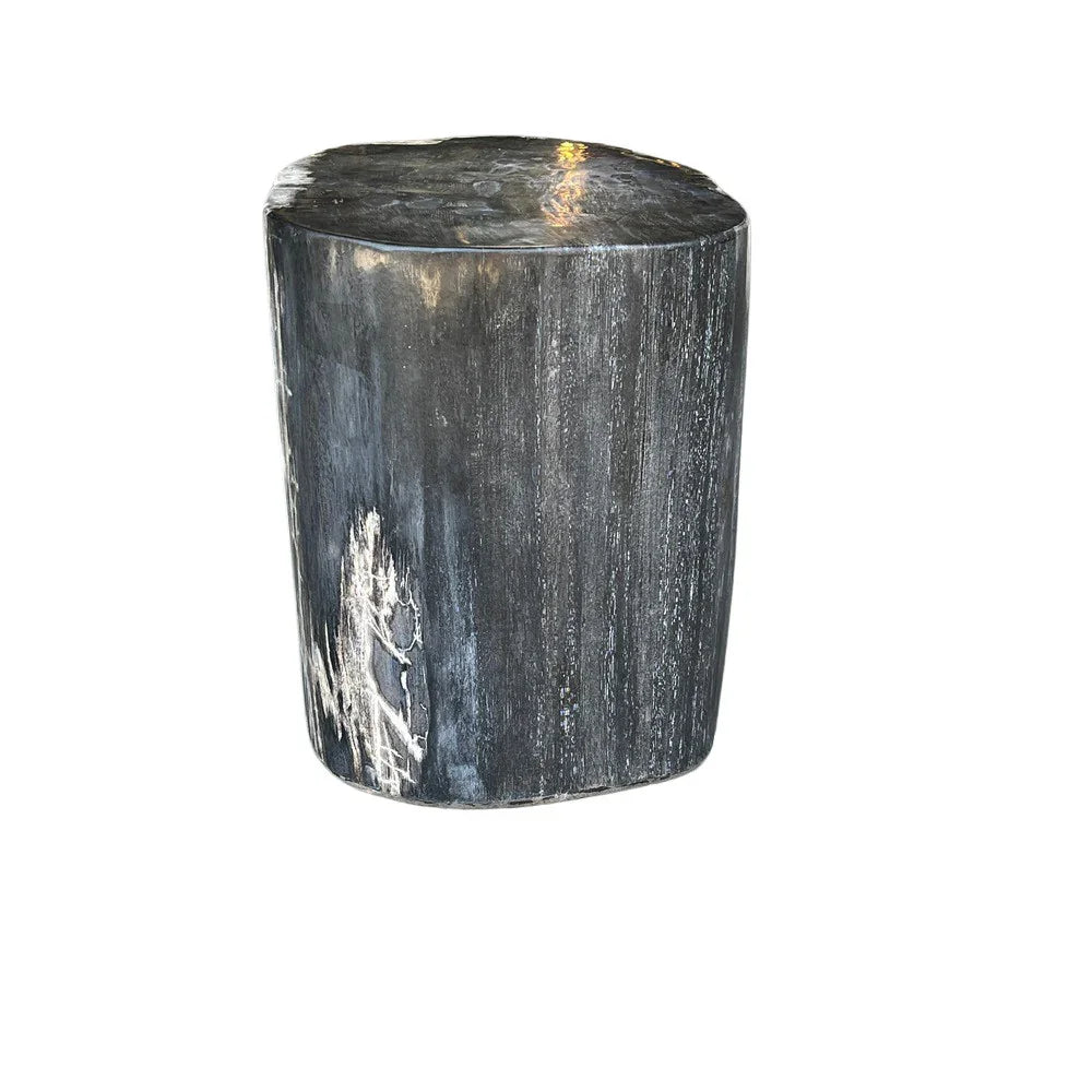 Petrified Wood Side Table - Berbere Imports