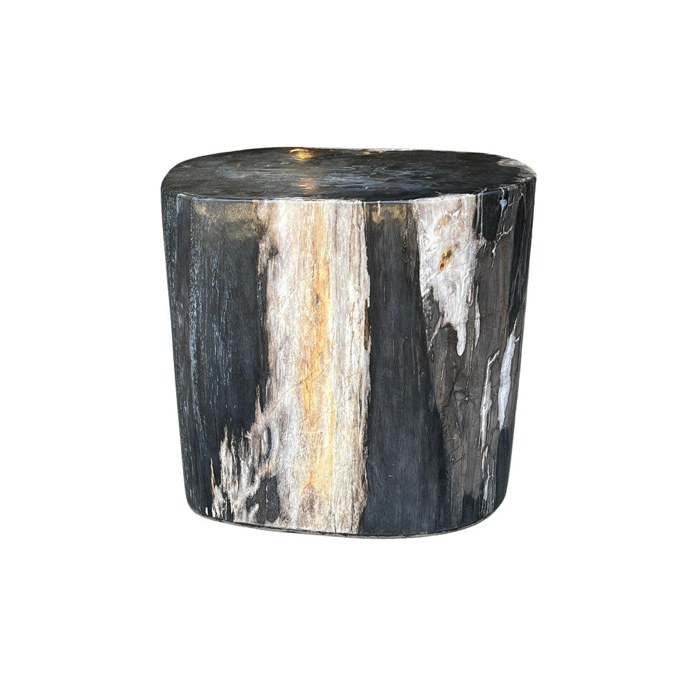 Petrified Wood Side Table - Berbere Imports