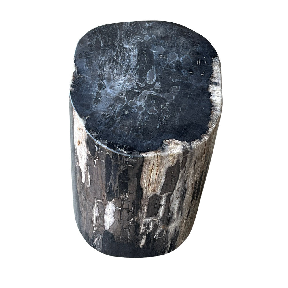 Petrified Wood Side Table - Berbere Imports