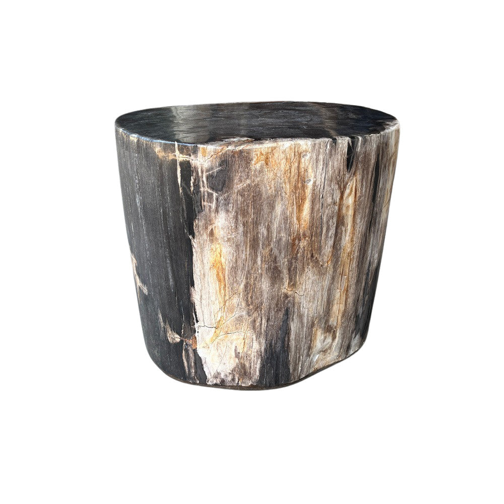 Petrified Wood Side Table - Berbere Imports