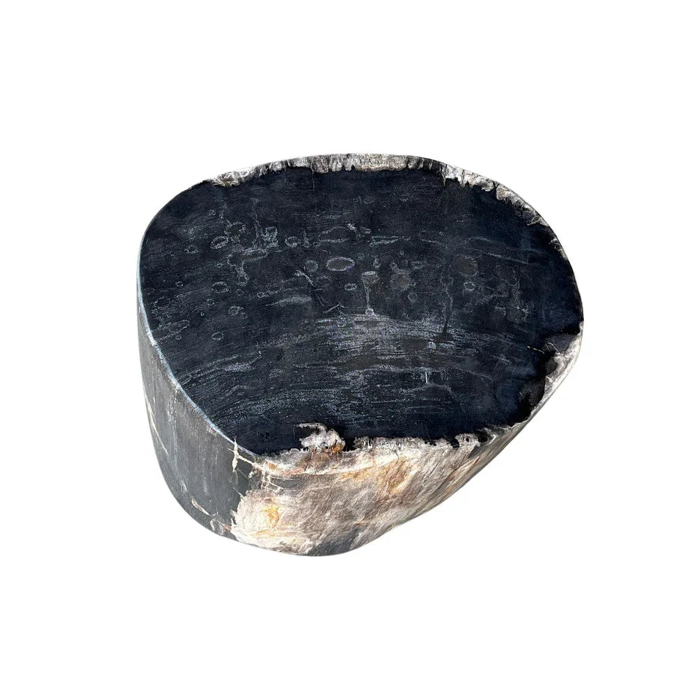 Petrified Wood Side Table - Berbere Imports