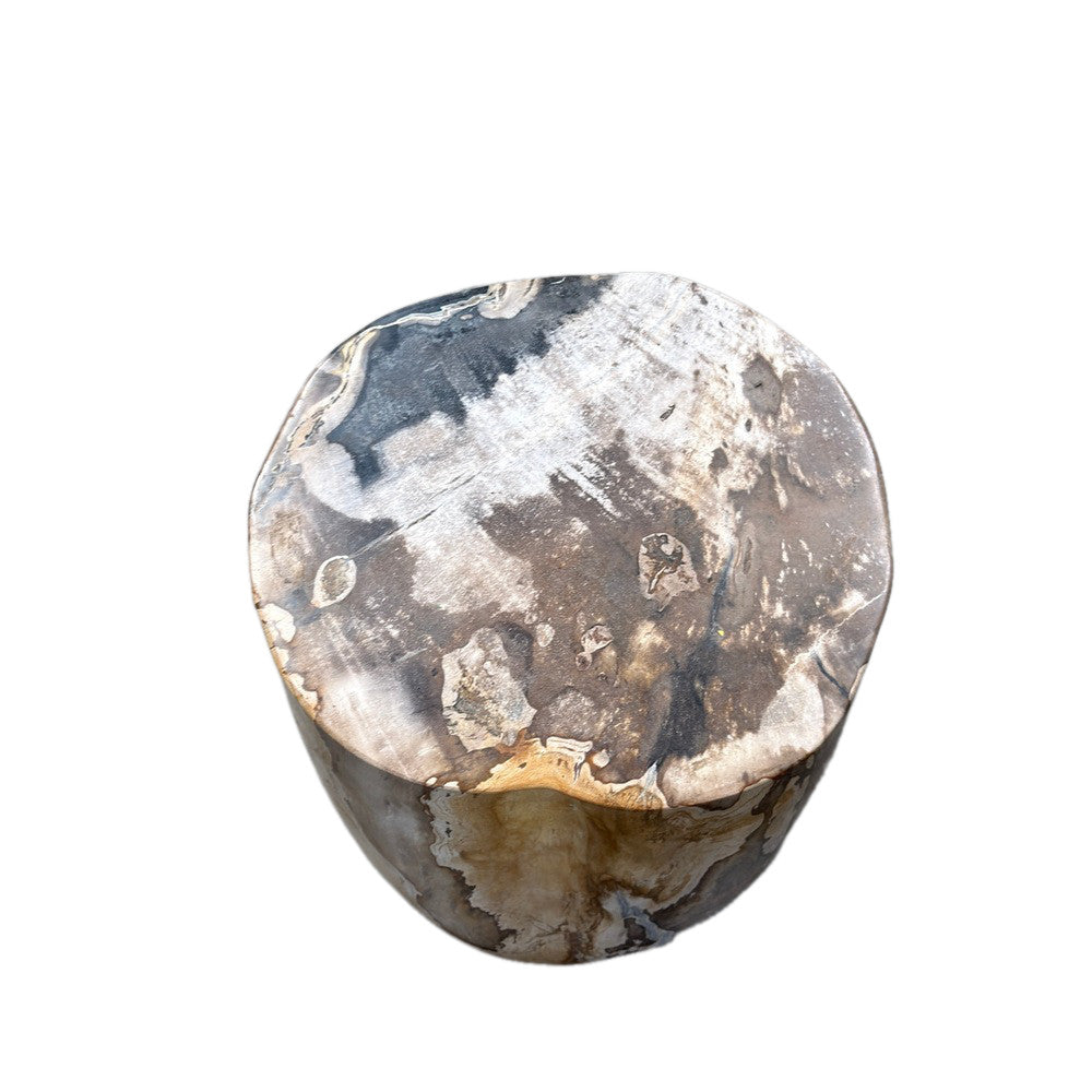 Petrified Wood Side Table - Berbere Imports
