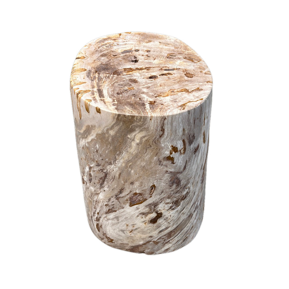 Petrified Wood Side Table - Berbere Imports