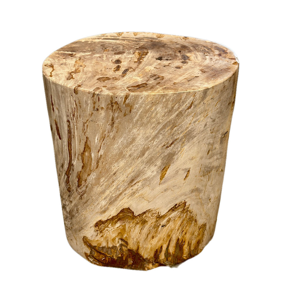 Petrified Wood Side Table - Berbere Imports