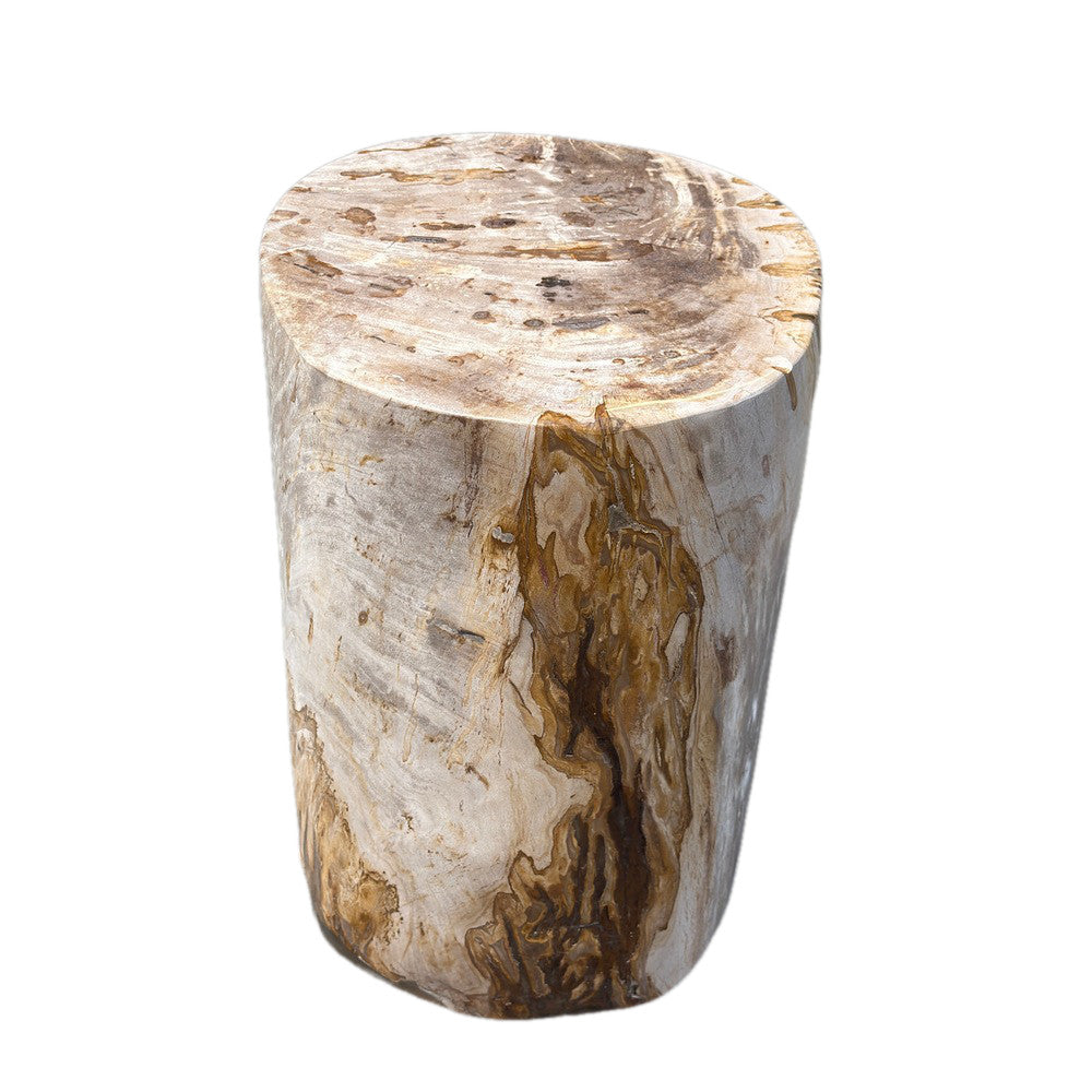 Petrified Wood Side Table - Berbere Imports