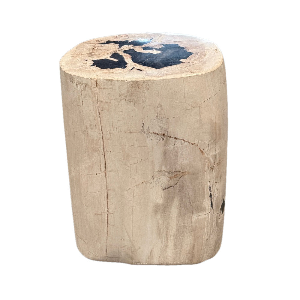Petrified Wood Side Table - Berbere Imports
