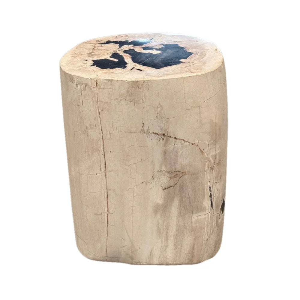 Petrified Wood Side Table - Berbere Imports