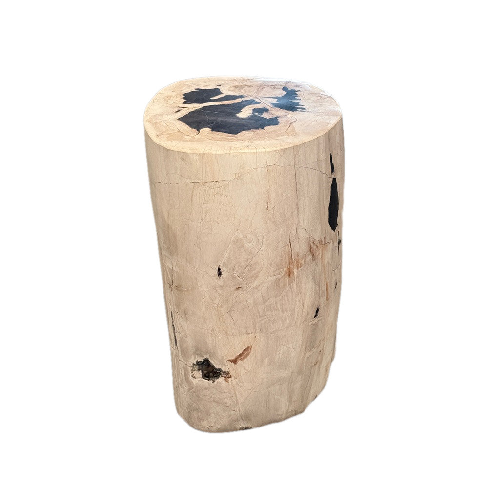 Petrified Wood Side Table - Berbere Imports
