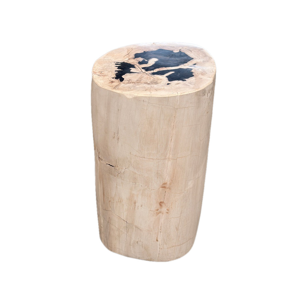 Petrified Wood Side Table - Berbere Imports