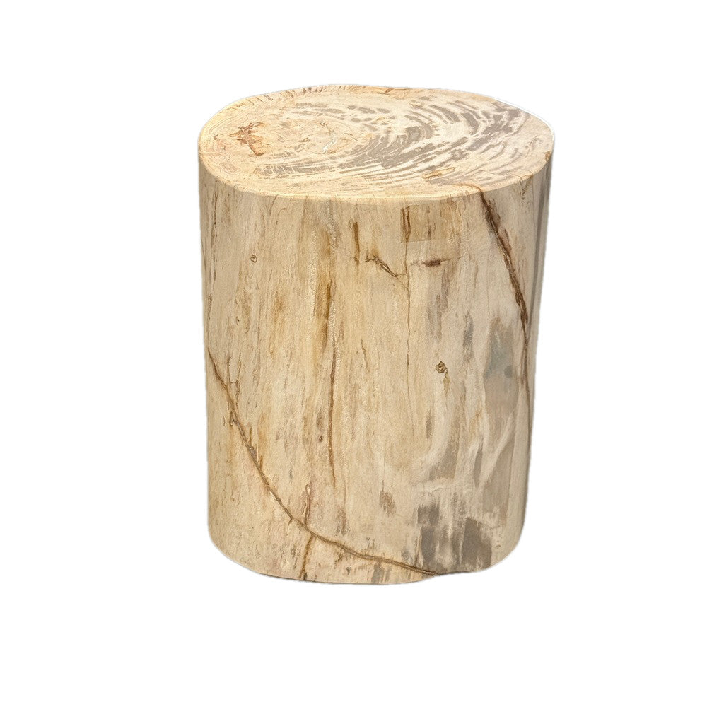 Petrified Wood Side Table - Berbere Imports
