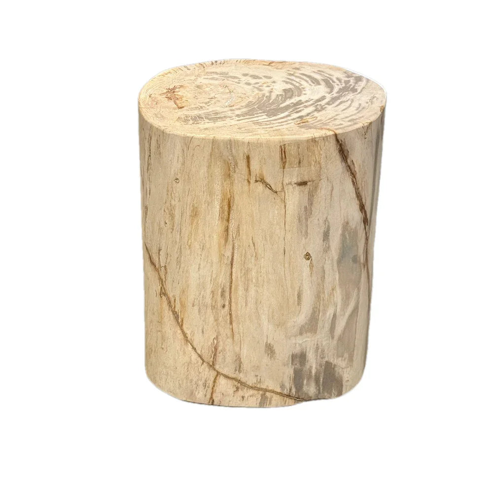 Petrified Wood Side Table - Berbere Imports