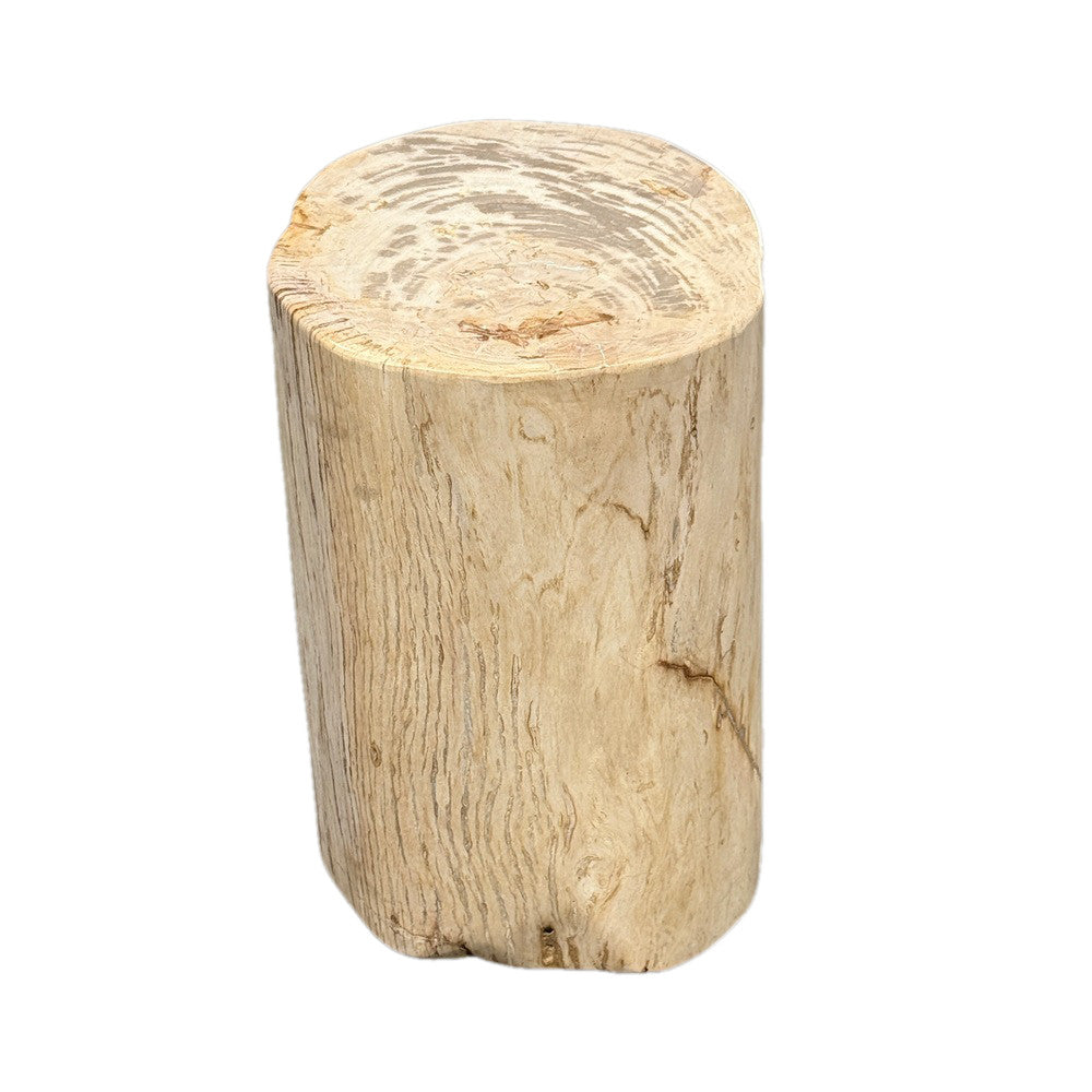 Petrified Wood Side Table - Berbere Imports