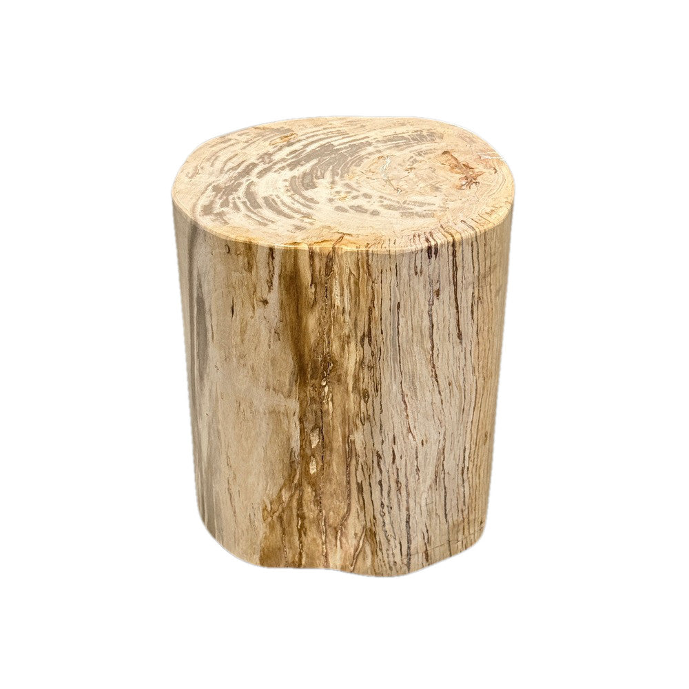Petrified Wood Side Table - Berbere Imports