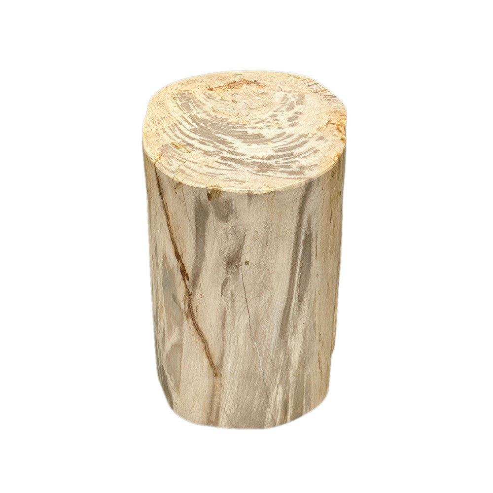 Petrified Wood Side Table - Berbere Imports