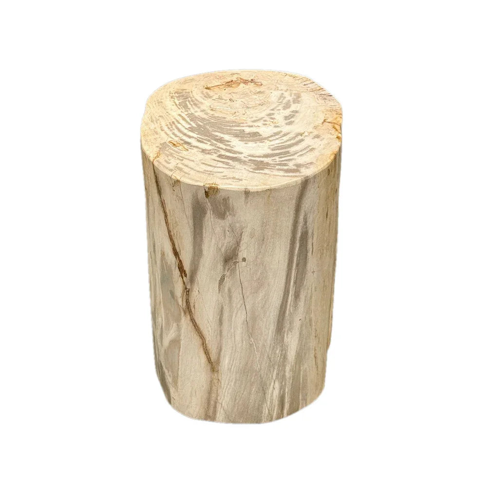 Petrified Wood Side Table - Berbere Imports