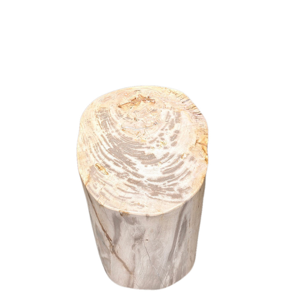 Petrified Wood Side Table - Berbere Imports