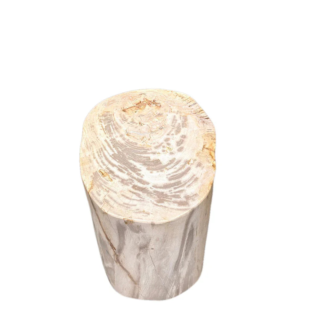 Petrified Wood Side Table - Berbere Imports