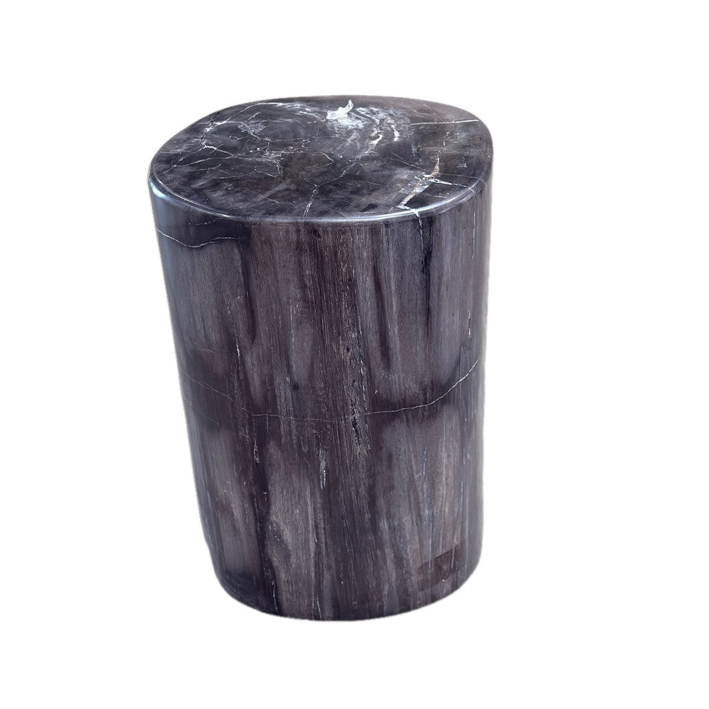 Petrified Wood Side Table - Berbere Imports