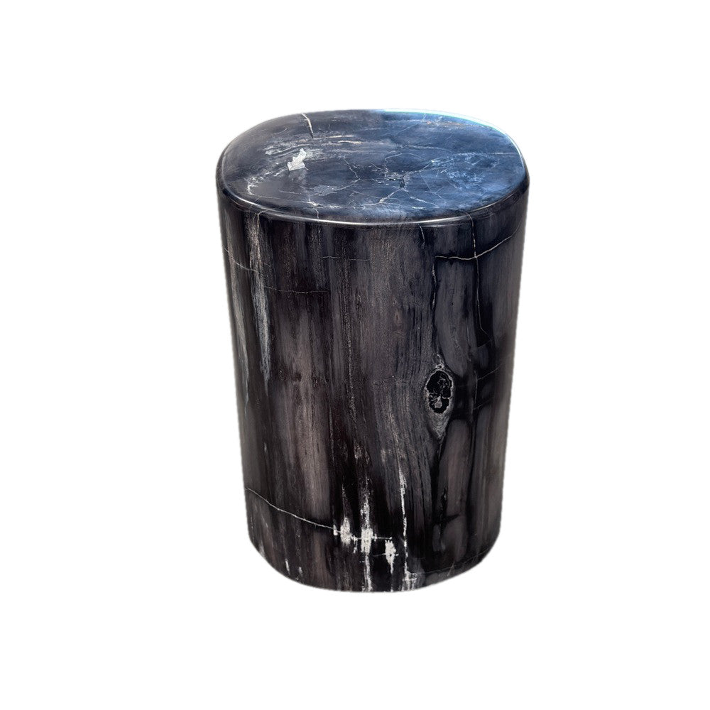 Petrified Wood Side Table - Berbere Imports