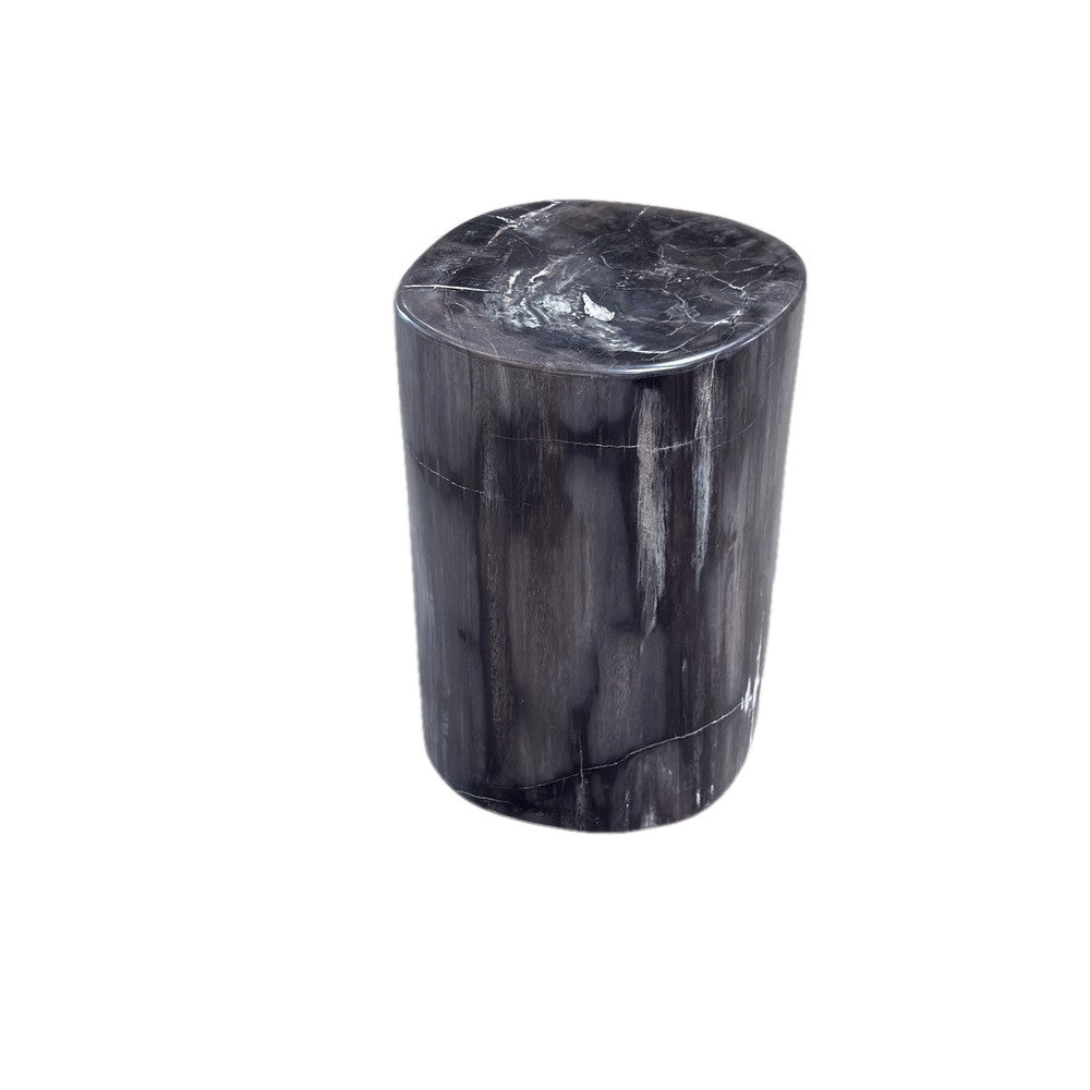 Petrified Wood Side Table - Berbere Imports