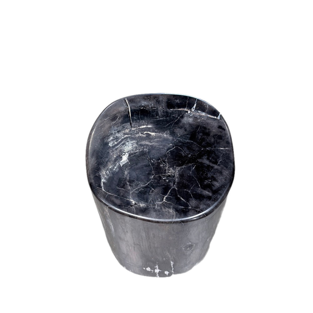 Petrified Wood Side Table - Berbere Imports