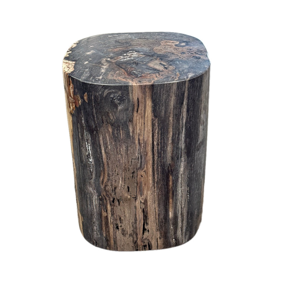 Petrified Wood Side Table - Berbere Imports