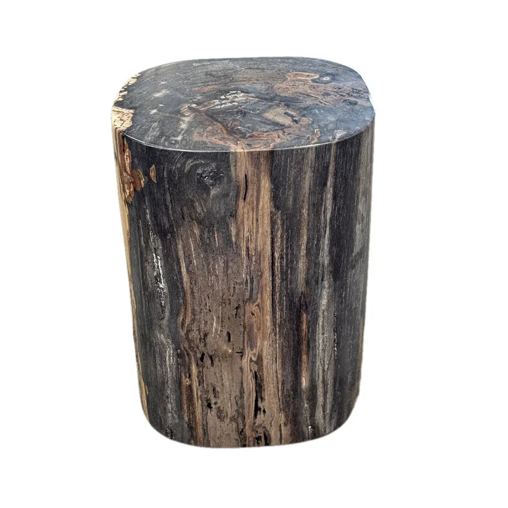 Petrified Wood Side Table - Berbere Imports