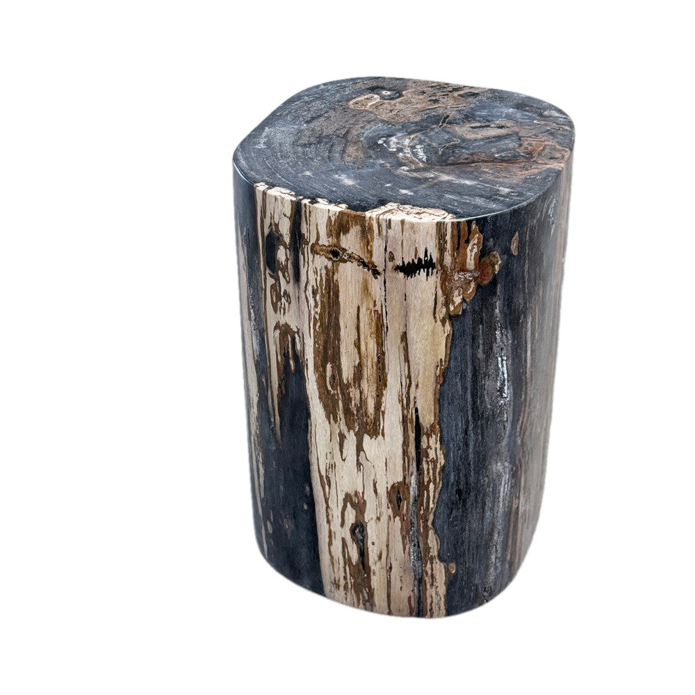 Petrified Wood Side Table - Berbere Imports