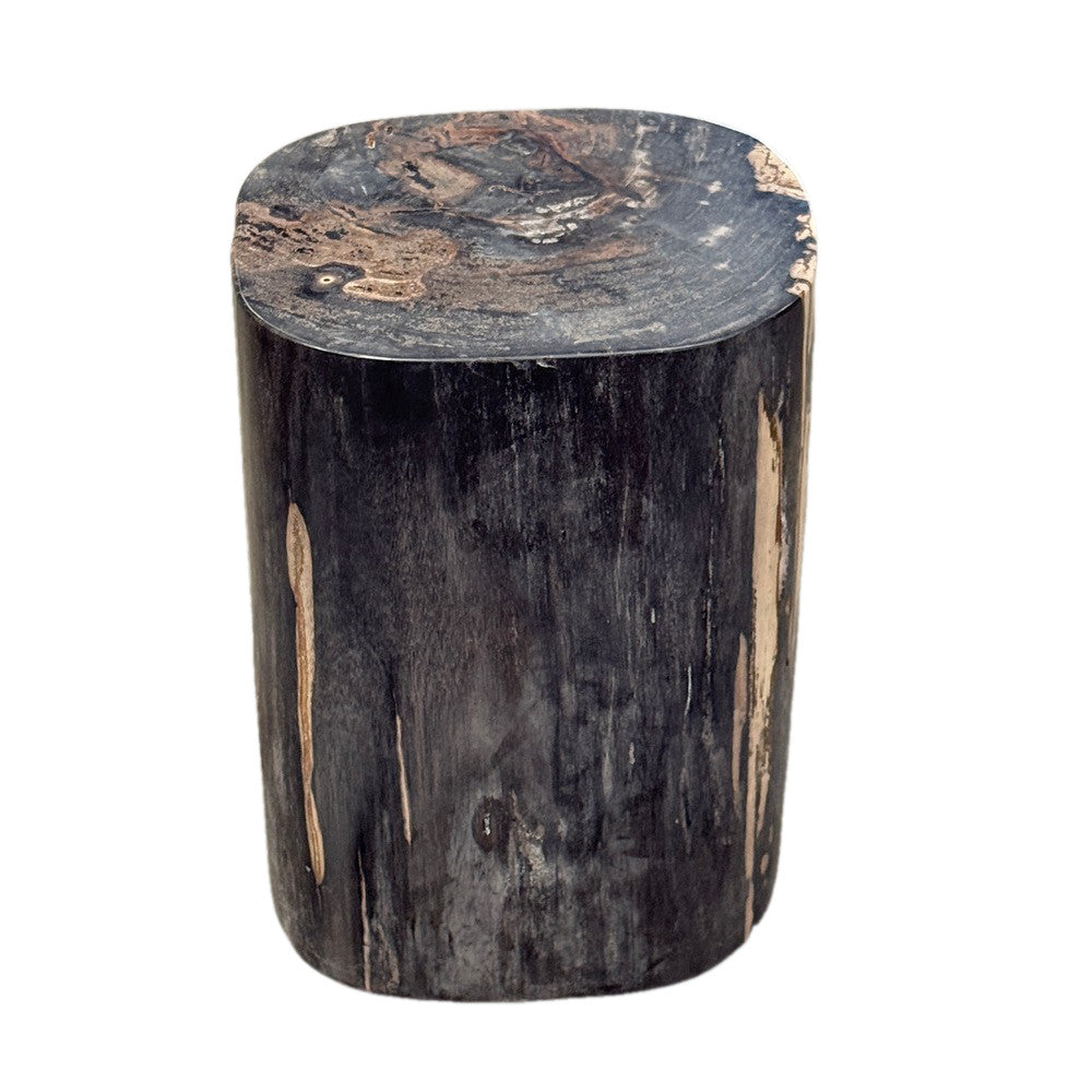 Petrified Wood Side Table - Berbere Imports