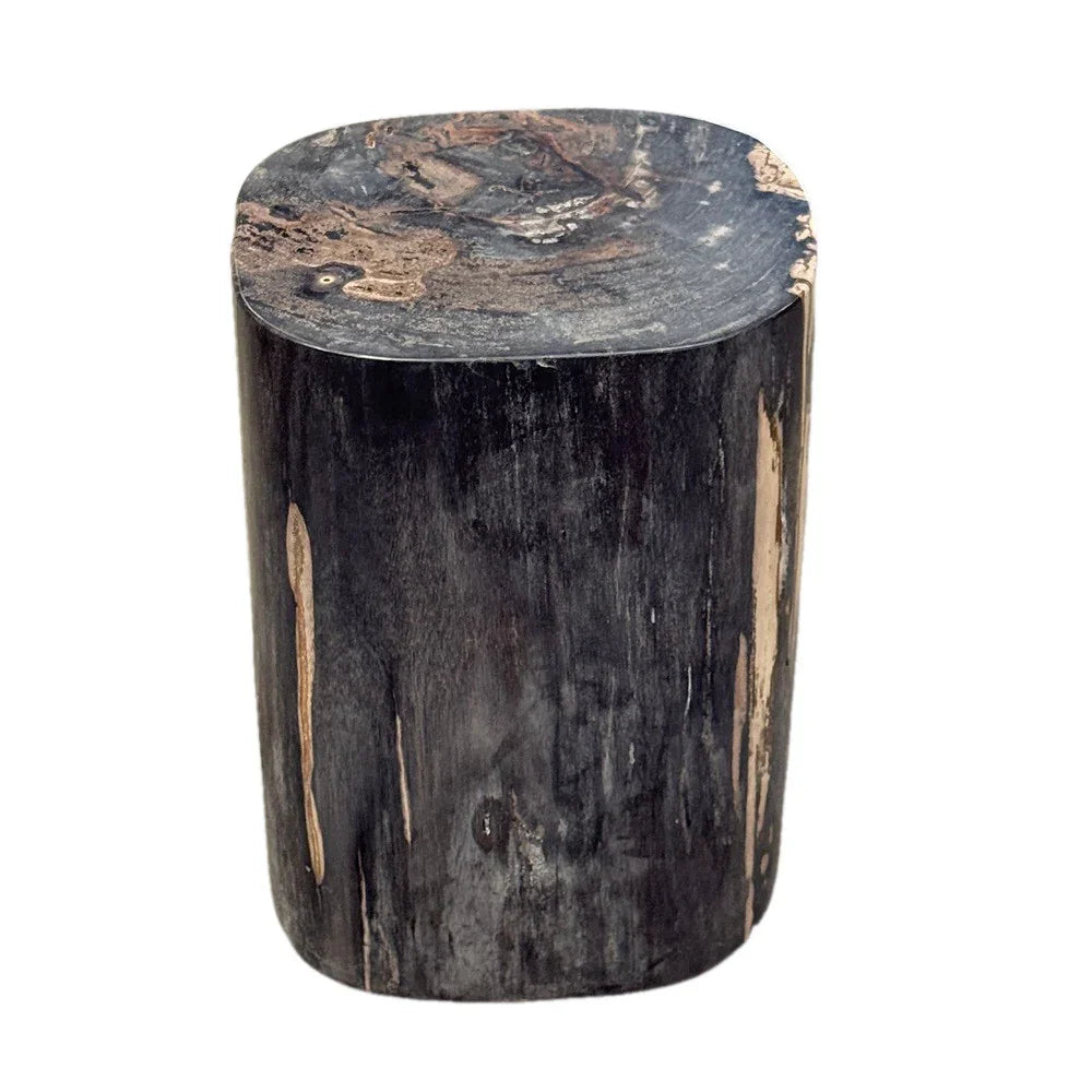 Petrified Wood Side Table - Berbere Imports