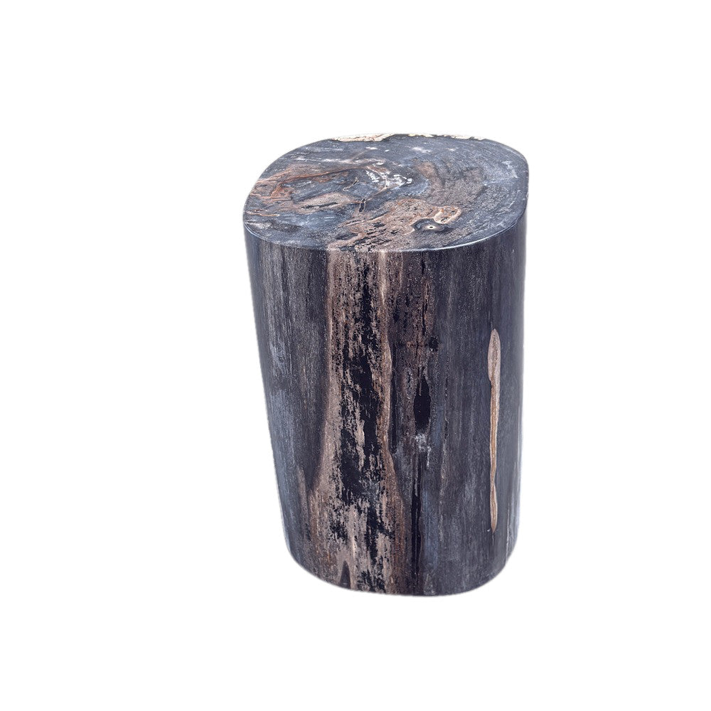 Petrified Wood Side Table - Berbere Imports