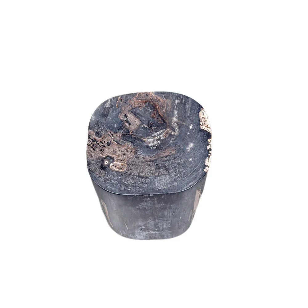 Petrified Wood Side Table - Berbere Imports