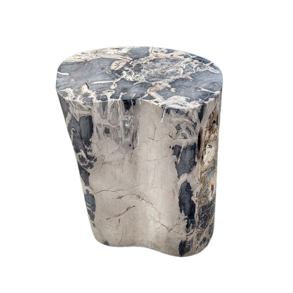 Petrified Wood Side Table - Berbere Imports