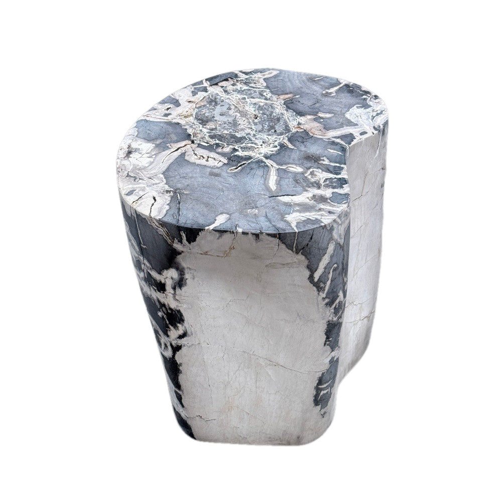 Petrified Wood Side Table - Berbere Imports