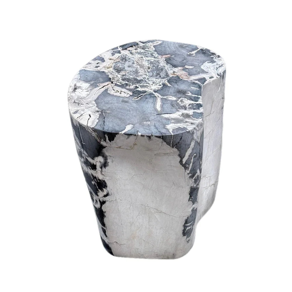 Petrified Wood Side Table - Berbere Imports