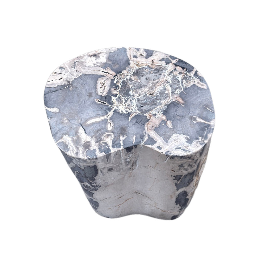 Petrified Wood Side Table - Berbere Imports