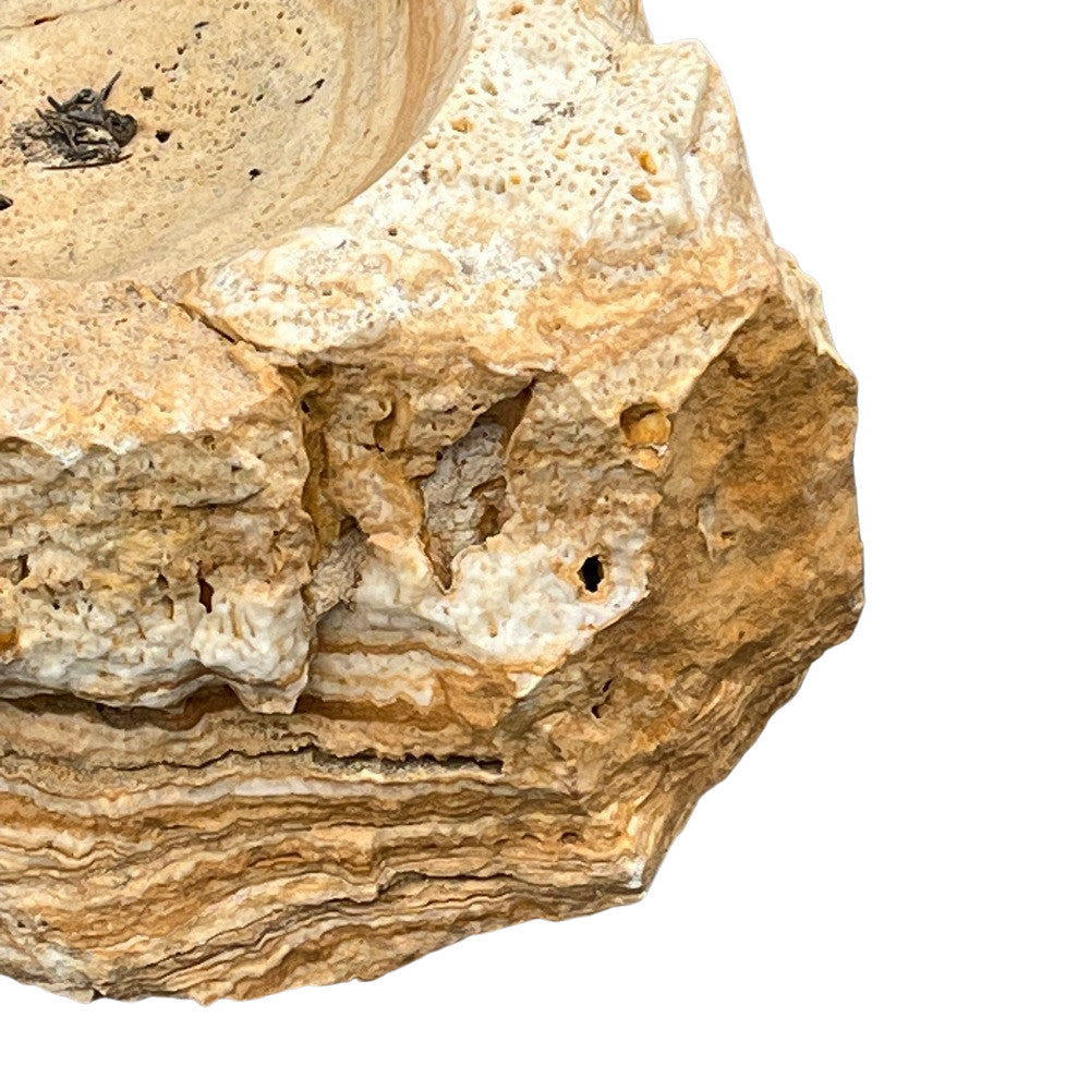 Spanish Organic-Shaped Stone Bowl - Berbere Imports