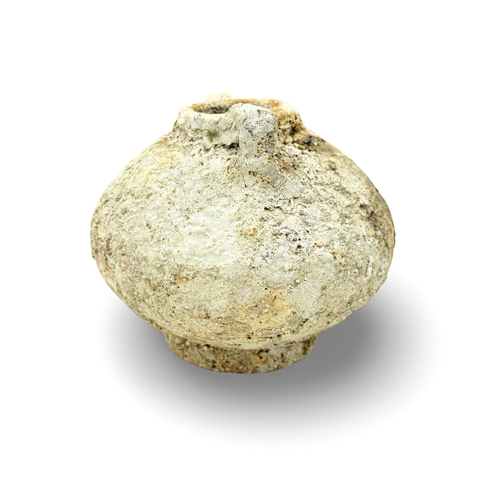 Antique Chinese Shipwrecked Vessel - Berbere Imports