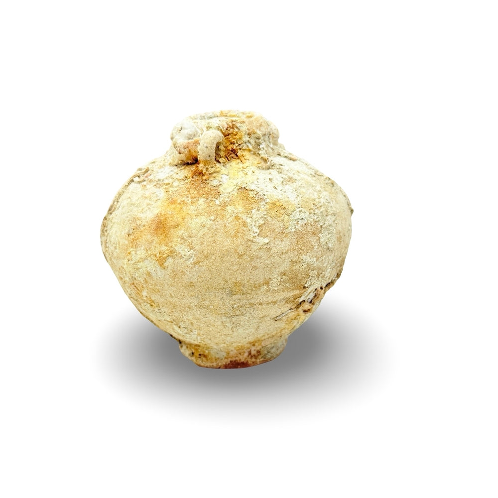 Antique Chinese Shipwrecked Vessel - Berbere Imports