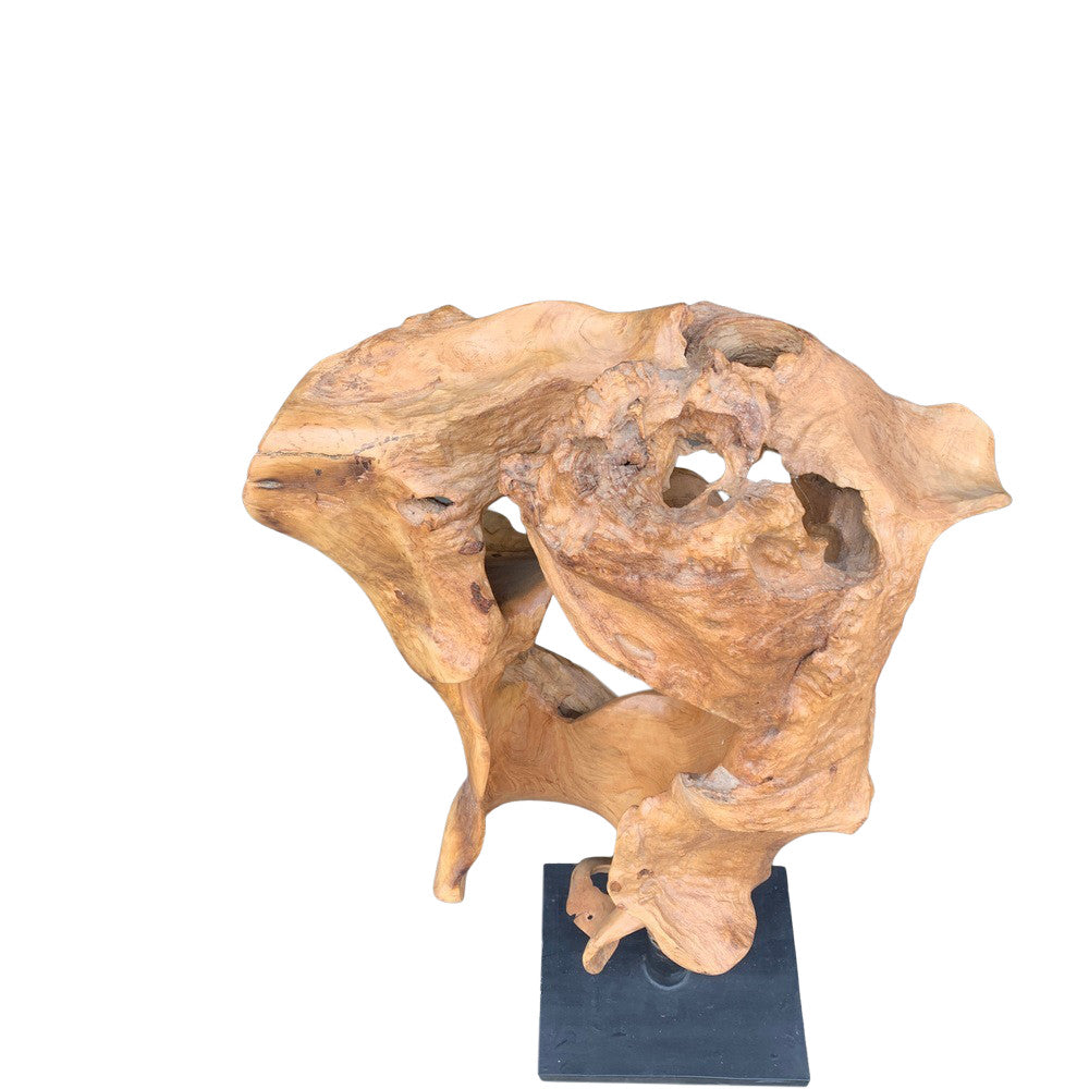 Teak Root Sculpture On Metal Base - Berbere Imports