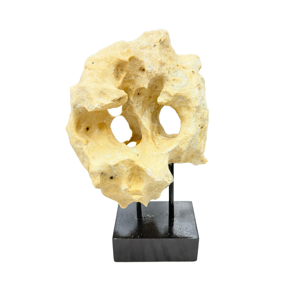Indonesian Coral Stone On Teak Stand - Berbere Imports
