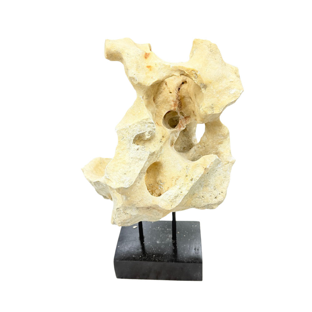 Indonesian Coral Stone On Teak Stand - Berbere Imports